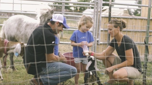 little girl feeding baby goat